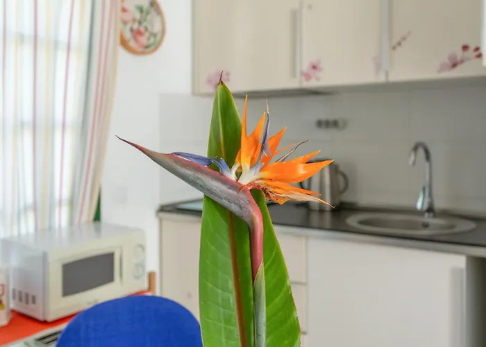 Aloe Dunas 3 База отдыха